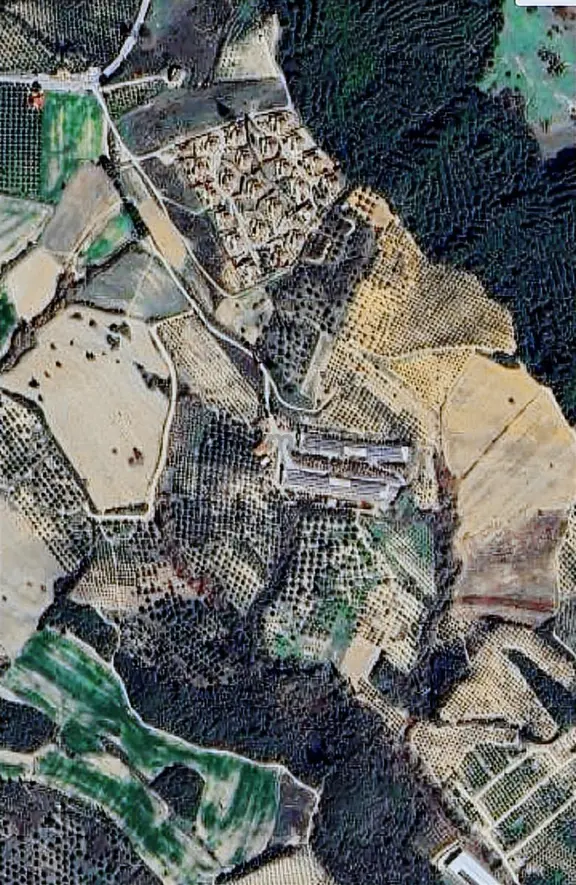 Kuşadası Yayla'da Resmi Yol Cepheli 17 Dönüm Zeytinlik 2