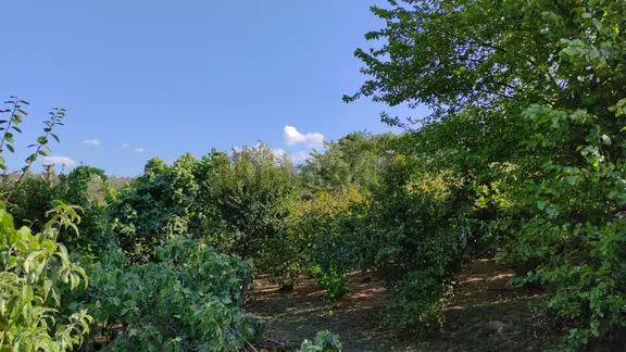 Kuzuluk Topçusırtı'nda 853m² İmarlı Arsa 2