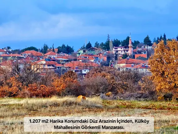 Uşak Karahallı Külköy'de 1207 M² Ağaçlı Tarla. Köy İlçe Toki O.sanayi Manzaralı. Açıklamayı Okuyunuz 1