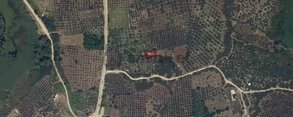 Nilüfer Gölyazı Satılık Müstakil Tarla 1