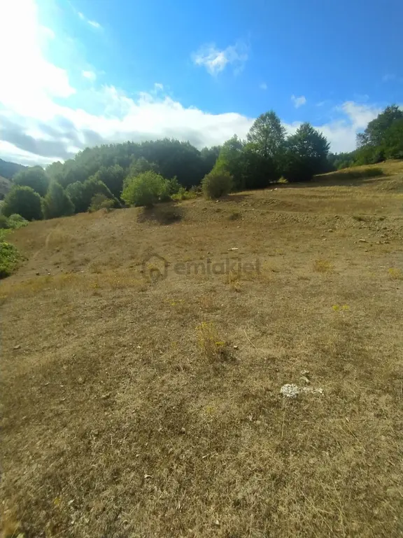 Ahşena'dan Samsun Alaçam'da 4522 M2 Kaçırılmayacak Fırsat Arazi 1