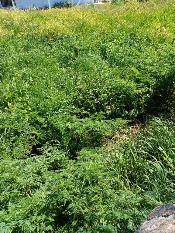 Sahibinden İstanbul Silivri Büyük Çavuşluda 2850m2 Tek Tapu Tarla Arac Takasları Degerlendirilir 2