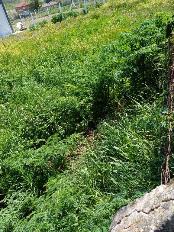 Sahibinden İstanbul Silivri Büyük Çavuşluda 2850m2 Tek Tapu Tarla Arac Takasları Degerlendirilir 1