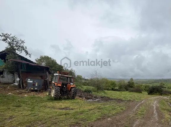 Kandıra'da Denize Yakın Köy Yanındaki Yerimiz Satılıktır. 2
