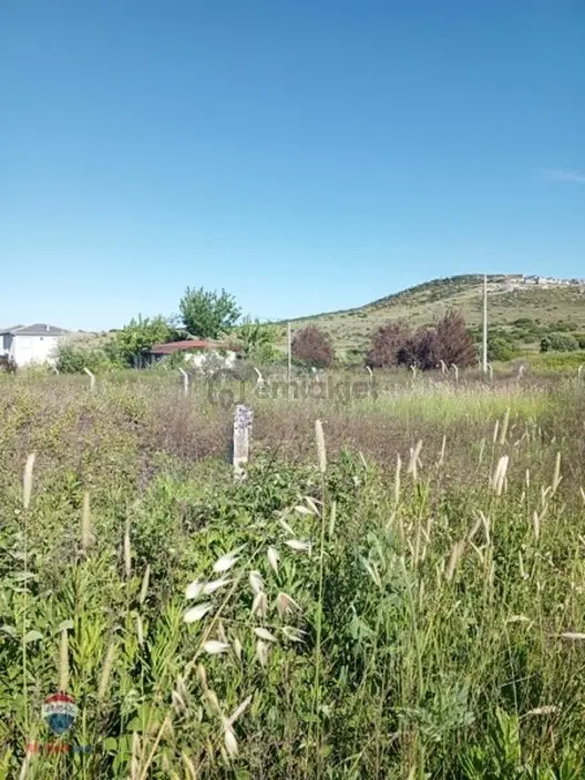 21 Foça Yeni Bağarasında Satılık Arsa 1