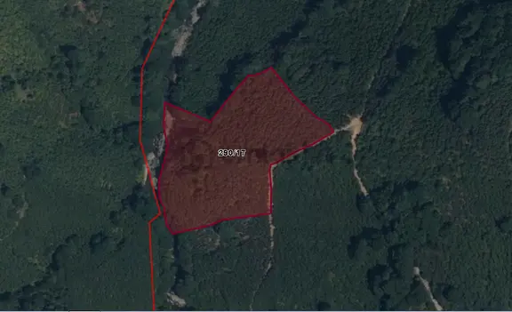 Lerox Uçar'dan Kazımkarabekir'de 11.051 M² Fındık Bahçesi 1