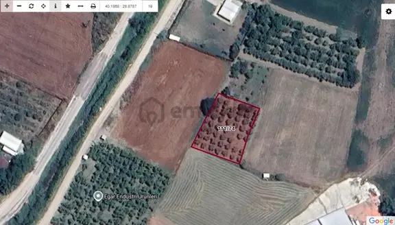 Tahtalı Da 930 M2 Tek Tapu Şeftali Bahçesi 2