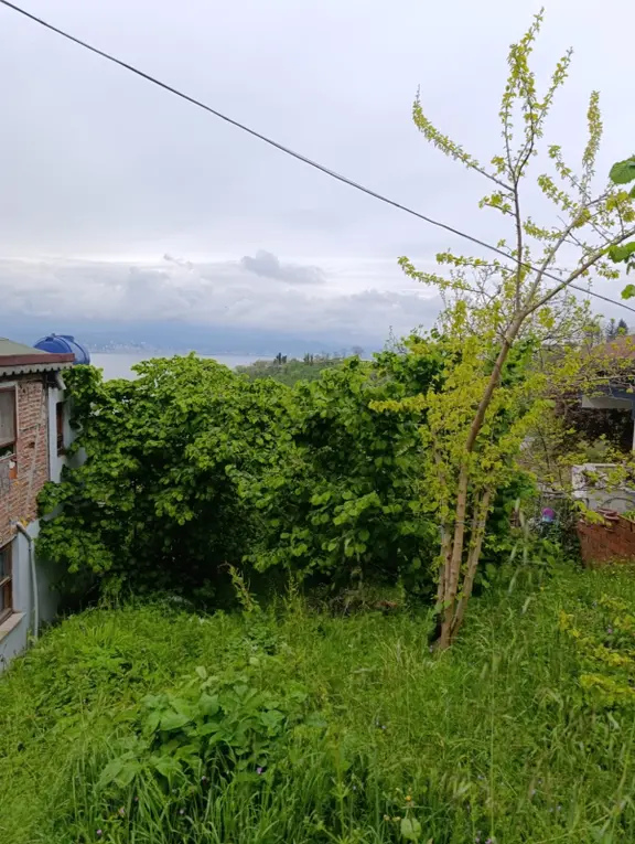 Fatsa Yalıköy Satılık Arazi Ful Deniz Manzaralı 2