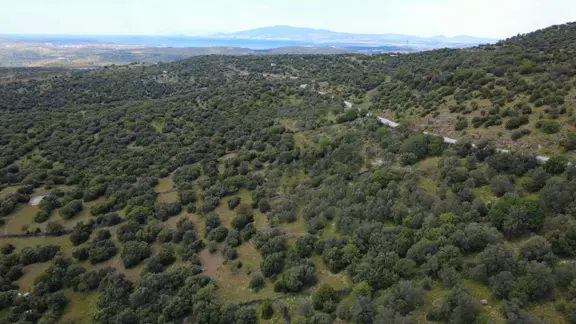 Hacıömerlide Satılık 20.000m2 Yola Cephe Satılık Arazi 2