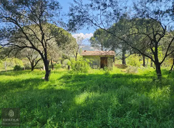 Bergama Kozak Okçular Bahçe Satılık 1