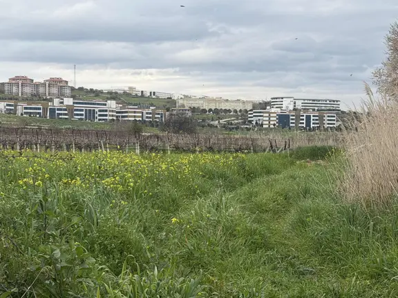 Manisa Yağcılar Satılık Arsa (fiyatı Düştü!!) 2