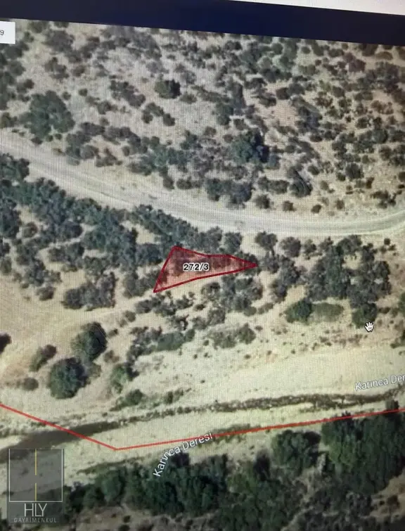 Hly Gayrimenkulden Bahadınlı/karadere Yol Üstü 250 M2 Zeytinlik 2