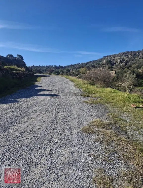 Söke Akçakayada Yola Sıfır 21 Dönüm Satılık Zeytinlik 2