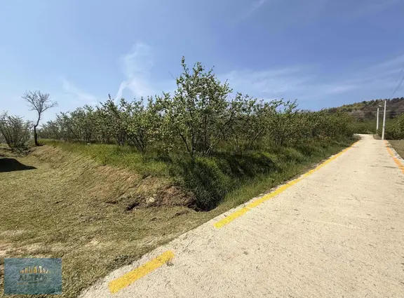 Doğanın İçinde Manzaralı Köşe Parsel Satılık Müstakil Ev 1
