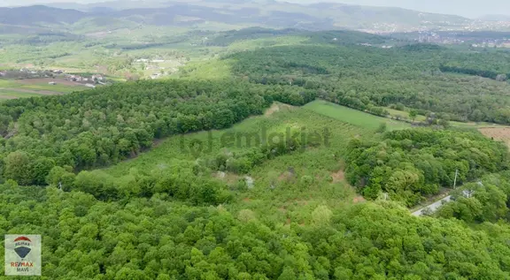 Sakarya Hendek Şeyhler 8.330 M² Tarla 118 Ada 2parsel Yatırımlık 2