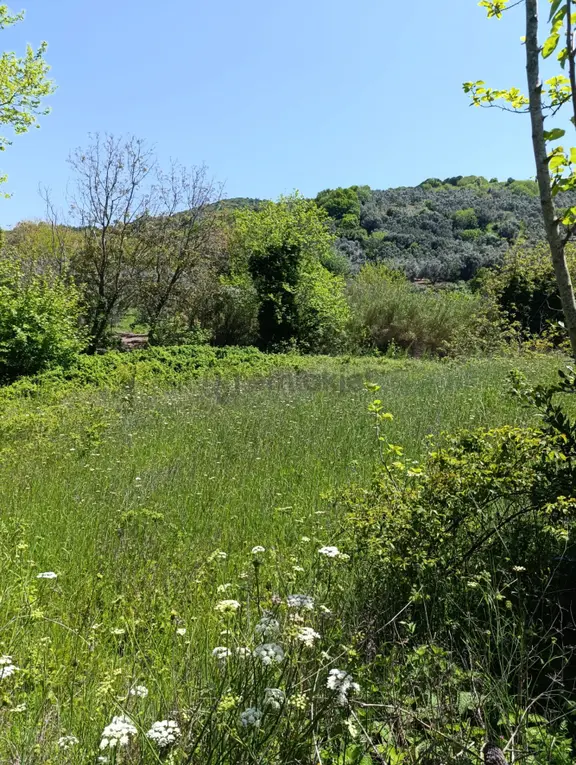 Balıkesir Erdek Kestanelik Mah. 949 M2 Satılık Bahçe Merkezi Konumda Yatırımlık 2