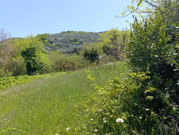 Balıkesir Erdek Kestanelik Mah. 949 M2 Satılık Bahçe Merkezi Konumda Yatırımlık 1