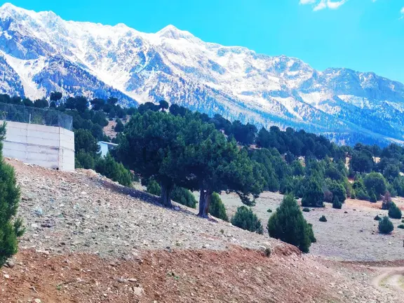 Kar Emlaktan Aşçıbekirli Fenesede 400m2 Satılık Arsa 1