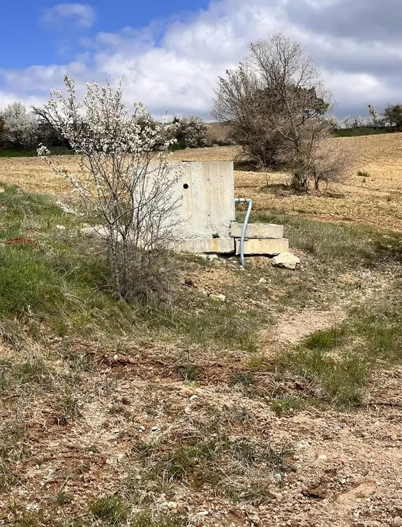 Banaz Halaşlarda 16000m2 180adet 8 Yaşında Cevız Bahçesi 1