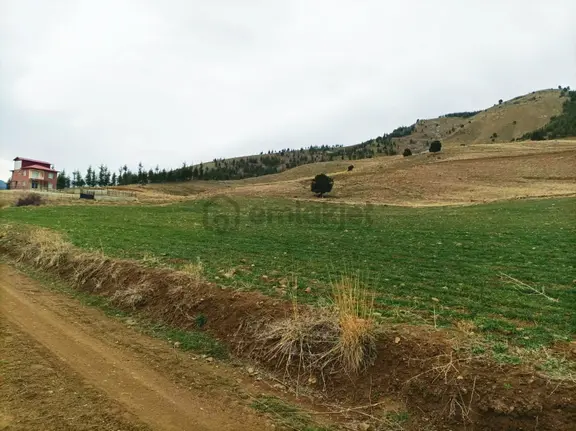 Kar Emlaktan Kamışlı Yaylasında 500m2 Satılık Arsa 2