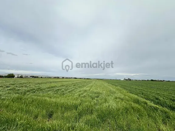 Yeşilloft Gayrimenkul'den Kupon Tarla 1