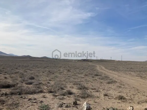 3ev Emlak'tan Konya Ereğli De 120 Dönüm Satılık Tarla 2