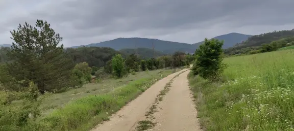 Nallıhan Beycik Dere Ke Hayvan Uygun Satılık Arsa Fırsatı 1