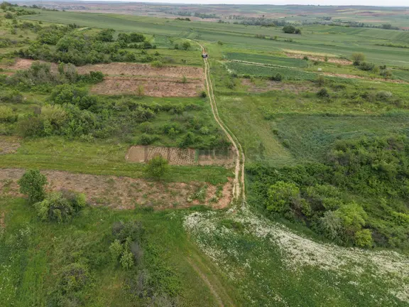 Varlı Kent'ten Tekirdağ Malkara'da 650 M2 Müstakil Tapulu Tarla 2