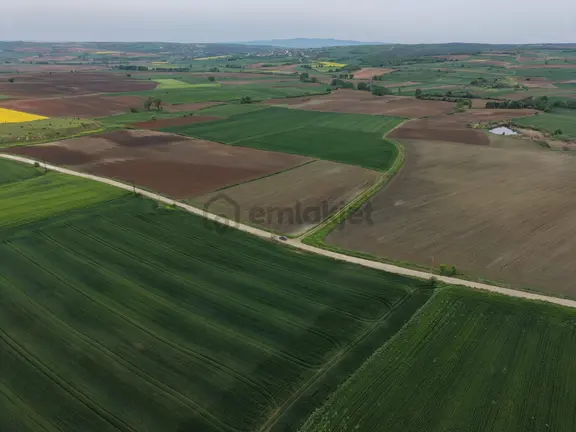 Varlı Kent'ten Tekirdağ'da Yola 150m Cephe Müstakil Tapulu Tarla 2