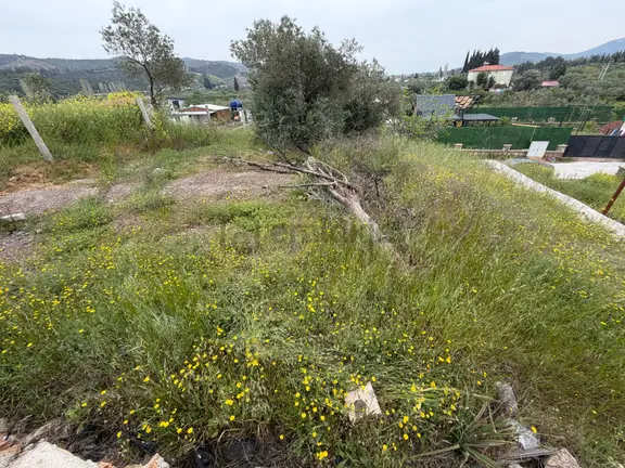 Seferihisar Doğanbey Kavakdere De Satılık 300 M2 Kupon Arsa 2