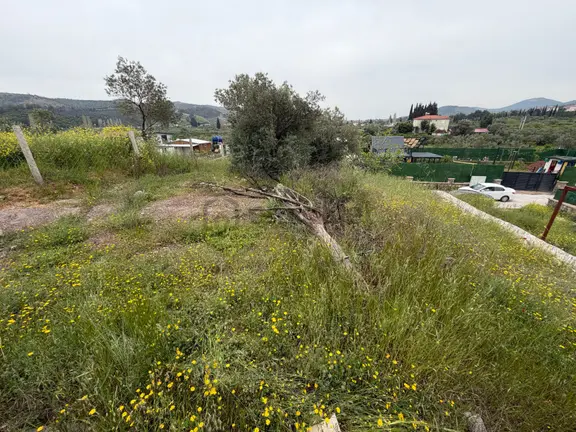 Seferihisar Doğanbey Kavakdere De Satılık 300 M2 Kupon Arsa 1