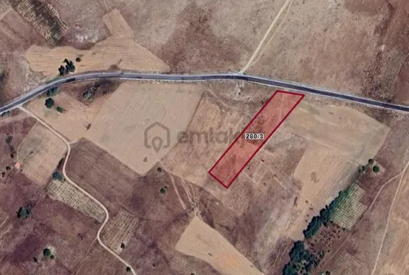 Satılık Tarla Ortaköy Balcı Da Tarla 280 , 3 1