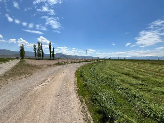 Öz Gaye Emlaktan Develi Sindelhöyük Mahallesinde Satılık Tarla 1