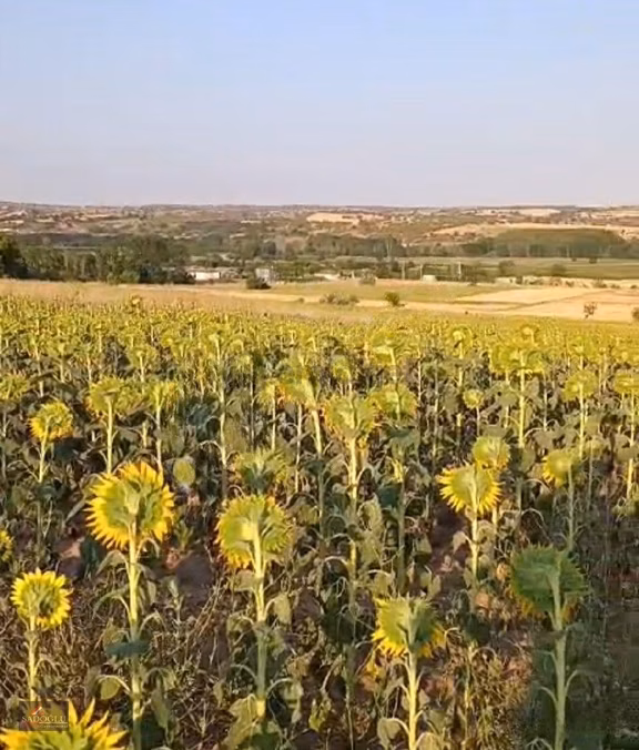 Koyunbaba'da 2.400 M2 Satılık Arazi 1