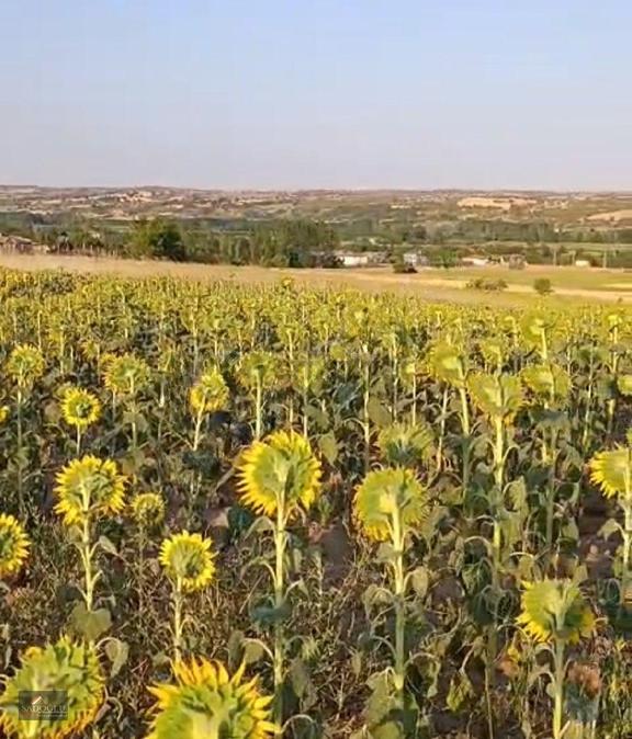 Koyunbaba'da 2.400 M2 Satılık Arazi 2