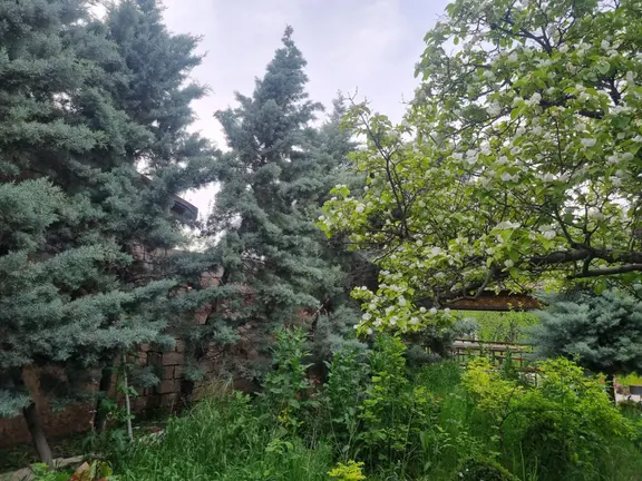 Meram'ın Kalbinde Bir Rüya ! 2682 M2 Müstakil Hayalinizdeki Arsa 2