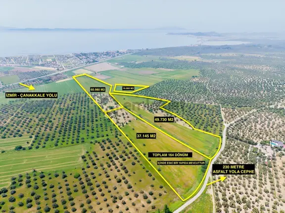Pera Gayrimenkulden Ayvalık'ta Satılık 164 Dönüm Tarla-zeytinlik 1