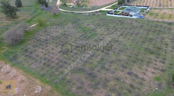 Bilecik Söğüt Küre Köyü'nde 11.023m² Satılık Arazi 2