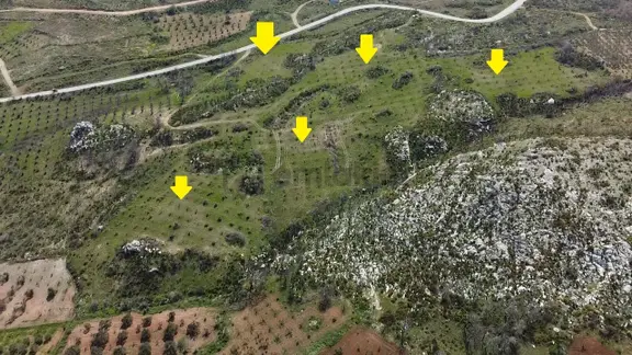 İzmir Kınık Karatekeli Mahallesinde Satılık Zeytinlik 2