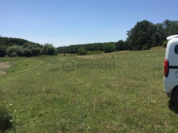 Edirne Meriçte Satılık Tarla Göl Kenarı Çiftlik Yeri 2350 M2 2
