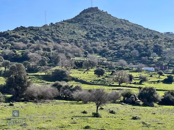Bodrum Turgutreis Satılık Kooperatif Hisseleri 2