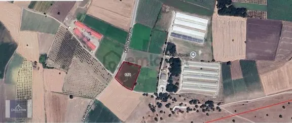 Karacabey Danişment'te Yola Cephe 6550 M'2 Satılık Tarla 1