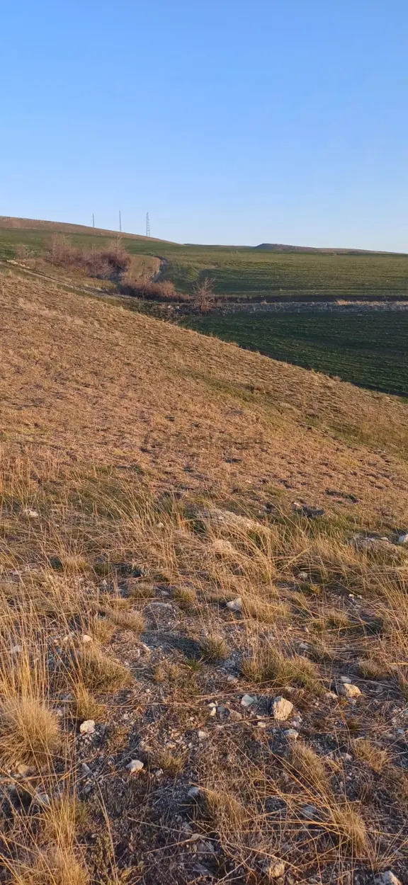 Cb Premıum'dan Mahlatlıbahçe Yolun Yanında Tek Tapu Satılık Arsa 2