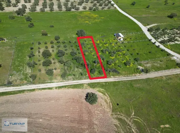 Aşağı Şakran'da Deniz Manzaralı Yatırım Fırsatı Tarla 2