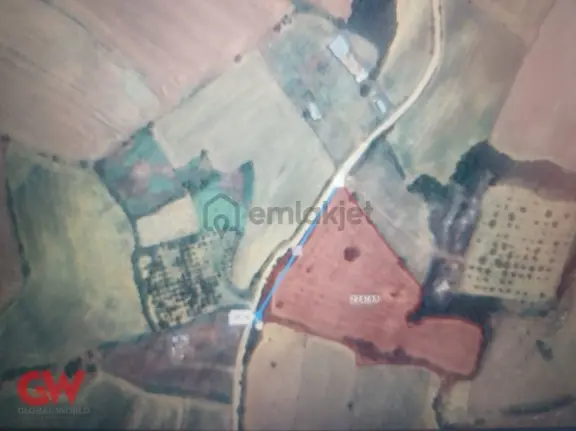 Gw T.dağ Şarköy Gölcük Kadastro Yola Cephe 9618 M2 Satılık Tarla 2