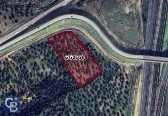 Cb Odak'tan Zeytindağ'da 3737 M2 Yola Cepheli Satılık Zeytinlik 1