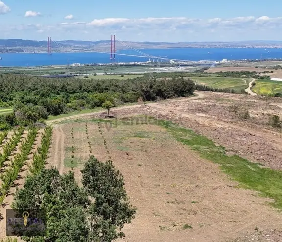 Çanakkale Lapseki Kocaveli Köyünde Satılık Super Konumda Tarla 1