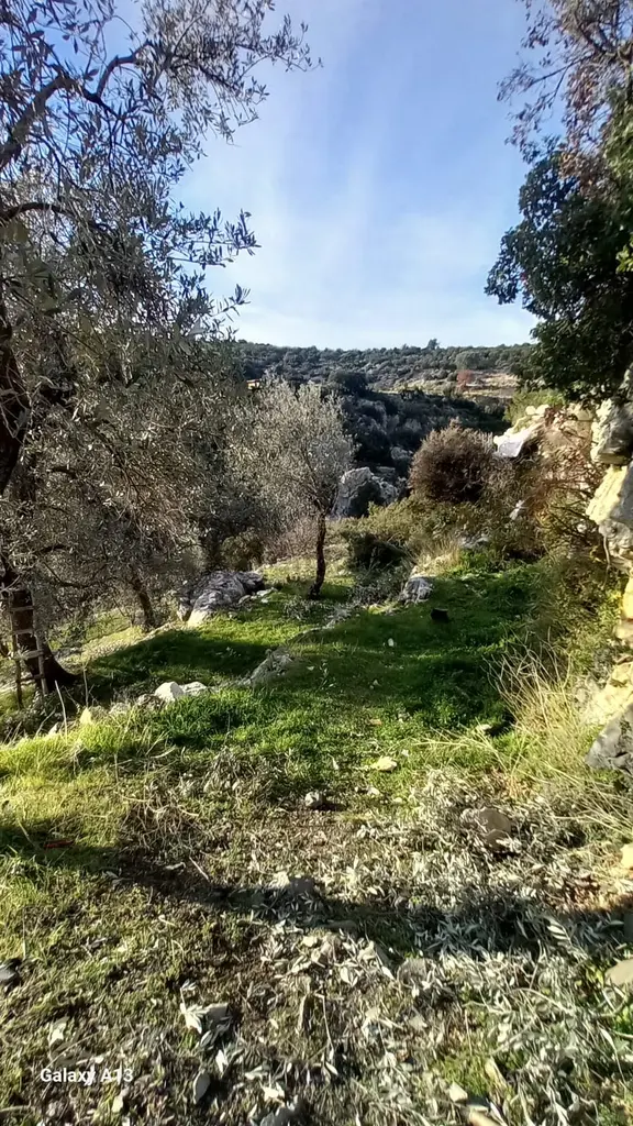 Stop’tan Arsaköy 3.692m² Zeytinlik 1