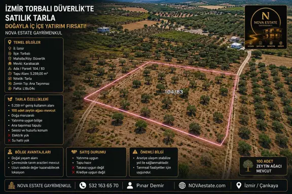 İzmir Torbalı Düverlikte Satılık Zeytinlik Tarla 2