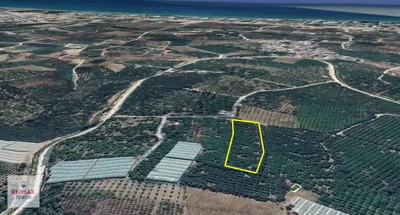 Remax Toros'tan Tece'de Verimli Limon Bahçesi-yatırımlık Fırsat 2